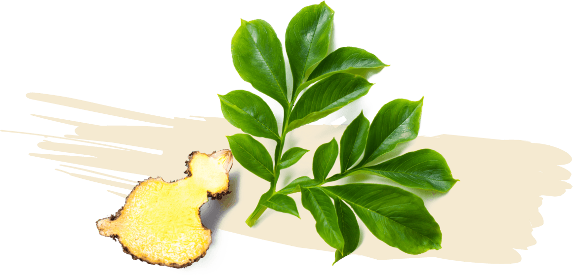 Glucomannan picture