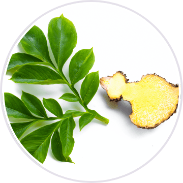 Glucomannan