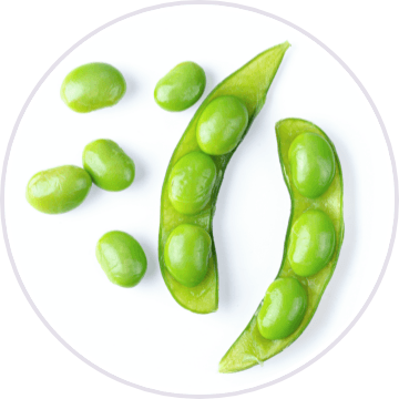 Vitamin B12