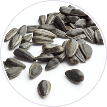 Vitamin B6